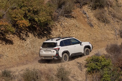 2026 Subaru Forester Wilderness